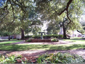 SavannahSquare